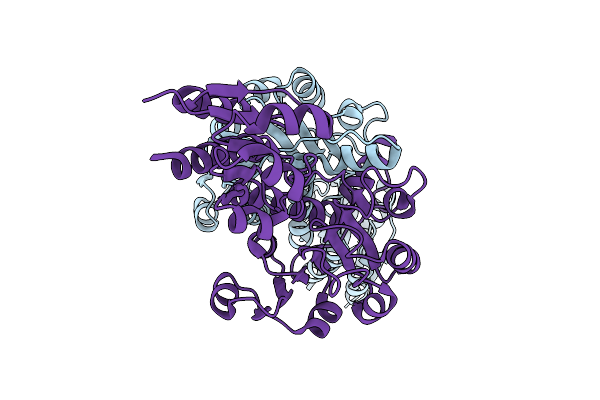 9JCN image