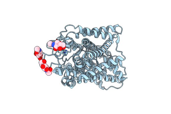 9JCV image