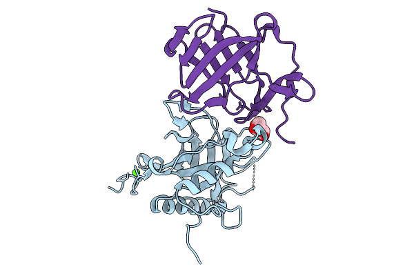9JDD image