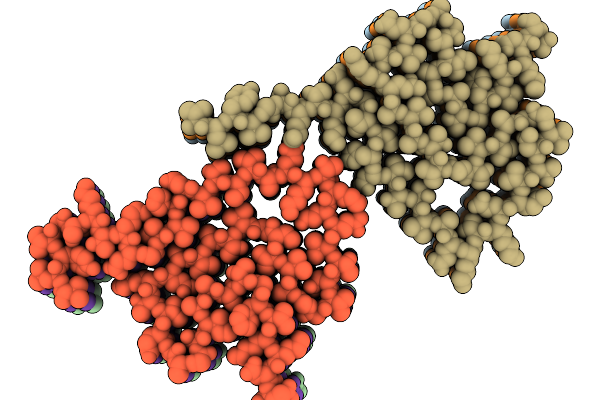 9JDK image