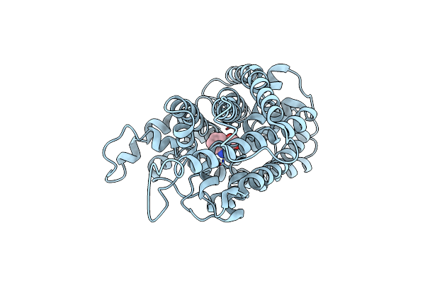 9JDS image