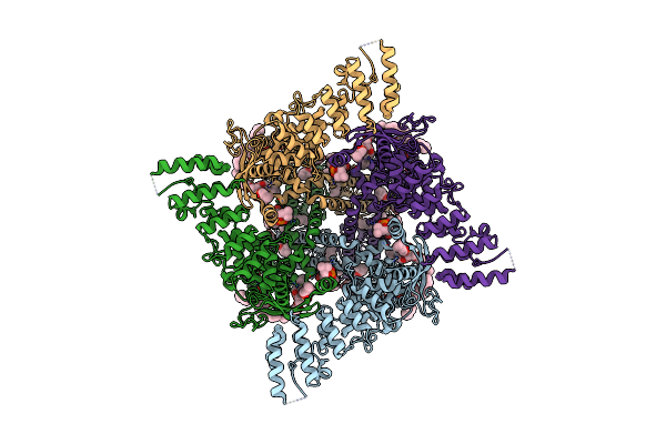 9JEF image