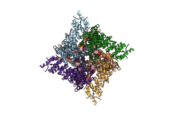 9JEG image