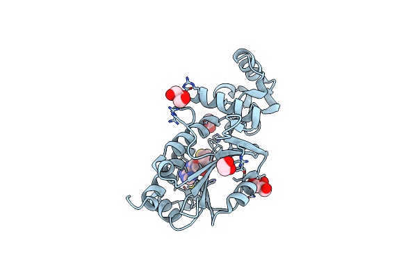9JGD image