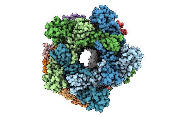 9JGI image