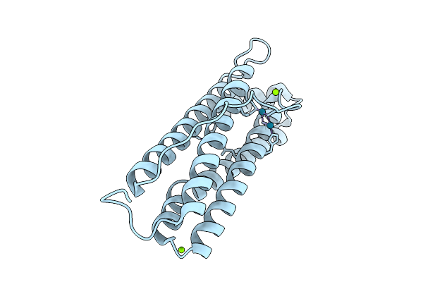 9JGO image
