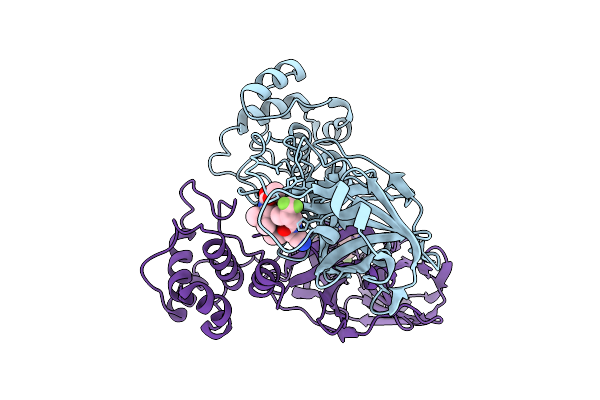 9JGU image