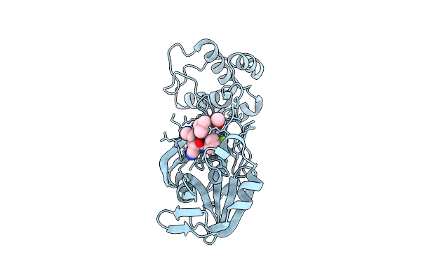 9JGY image