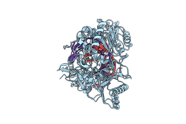 9JHM image
