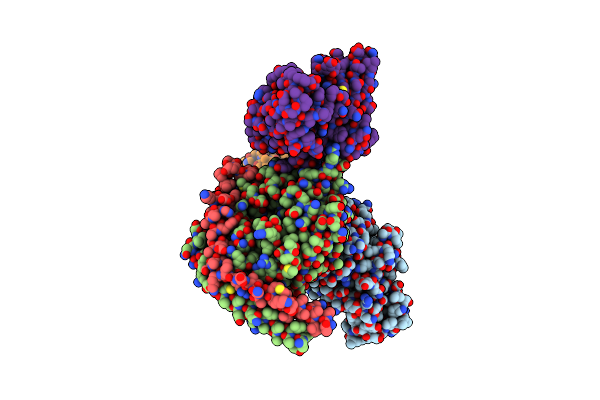 9JHP image