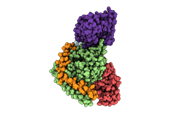 9JID image