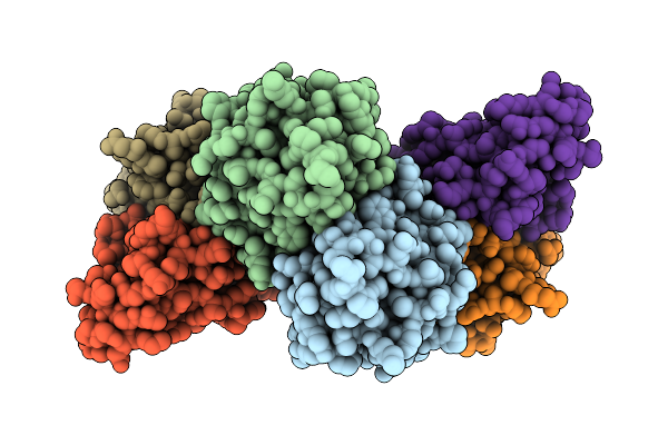 9JIG image