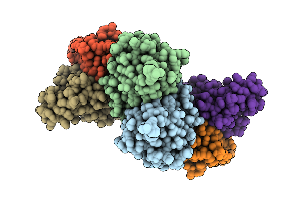 9JII image