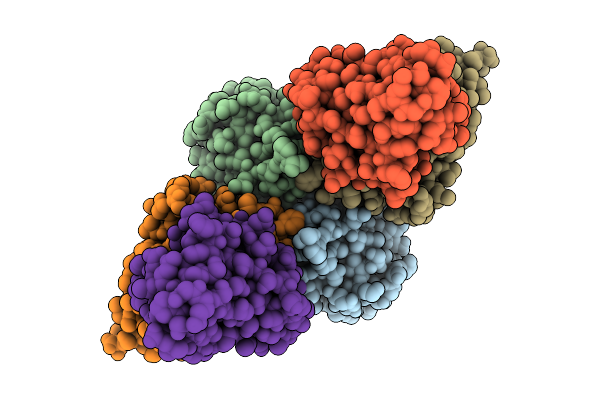 9JIL image