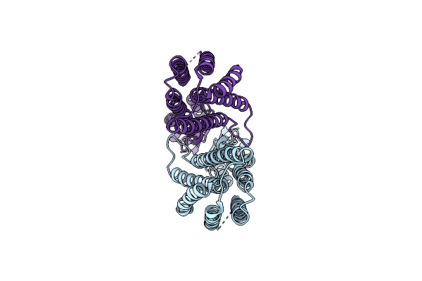 9JJ2 image