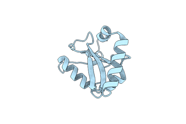 9JJD image