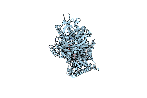 9JJK image