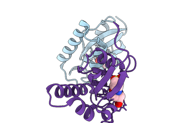 9JJS image