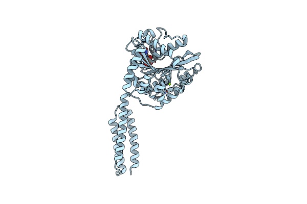 9JJW image