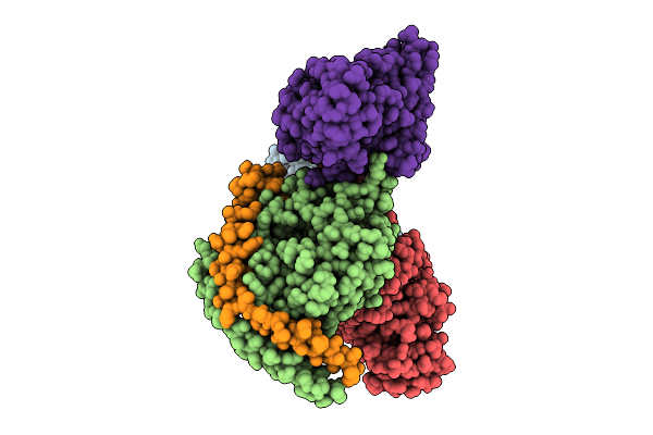 9JKX image