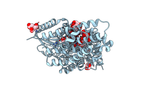9JLV image