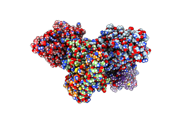 9JMD image