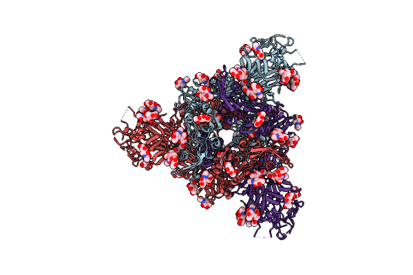 9JMO image