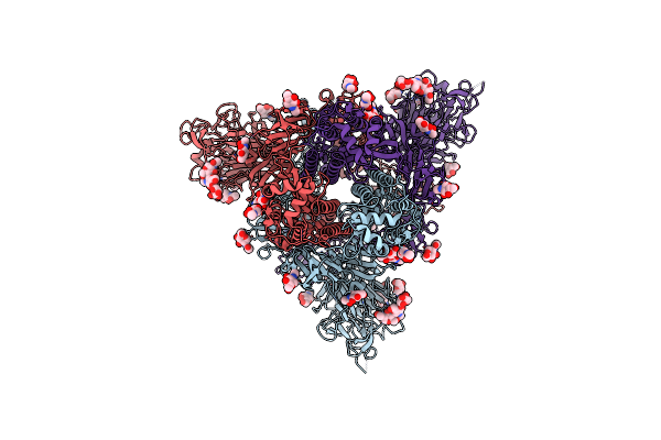 9JMP image