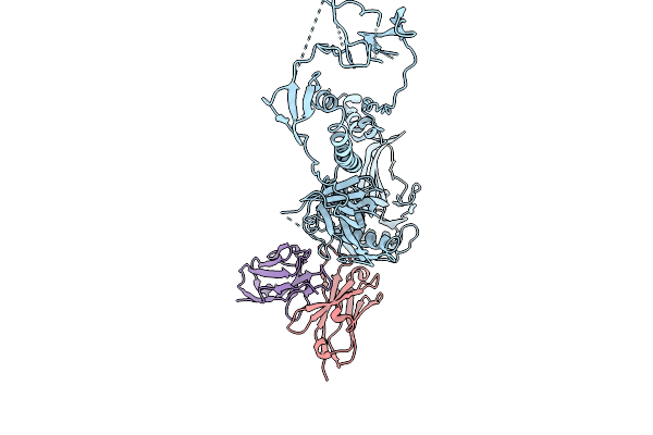 9JMR image