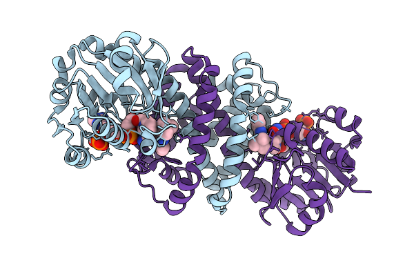 9JMX image