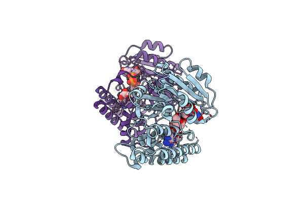 9JN3 image