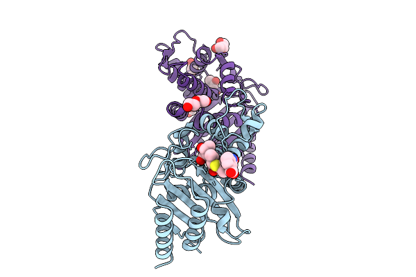 9JNF image