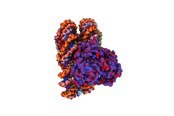 9JNP image