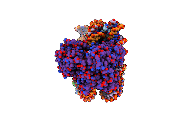 9JNT image