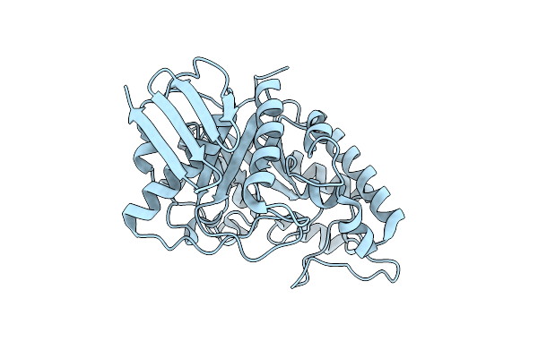 9JOC image