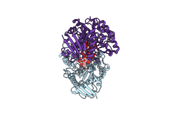 9JOG image