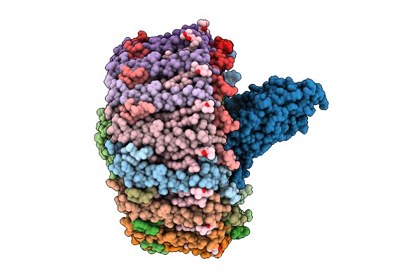 9JPB image