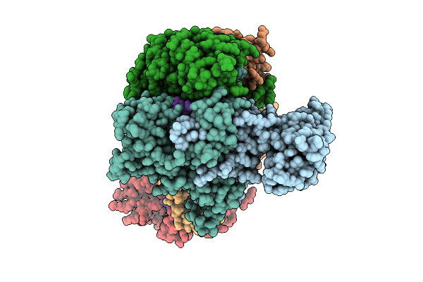 9JPF image