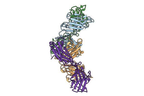 9JPV image