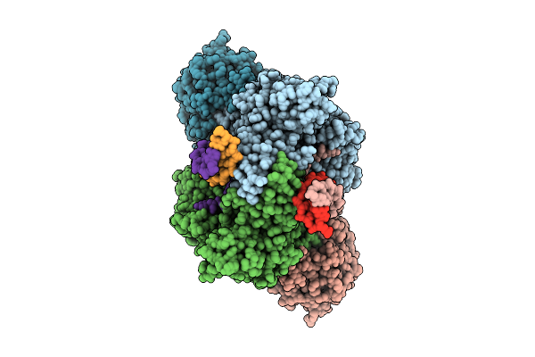 9JPX image