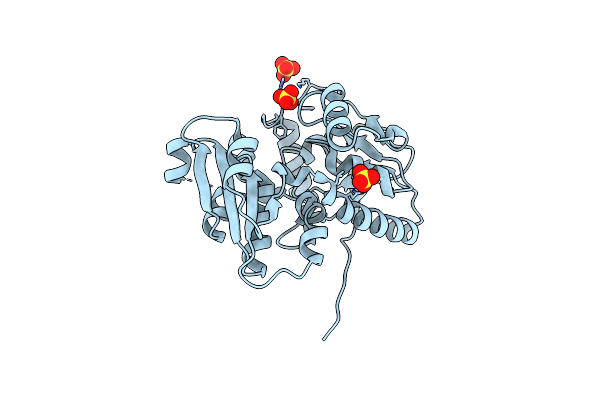 9JQF image