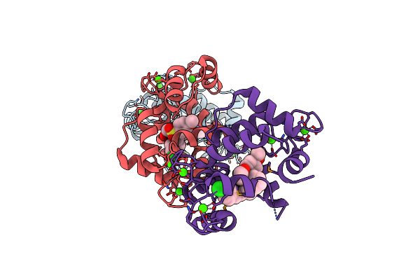 9JQI image