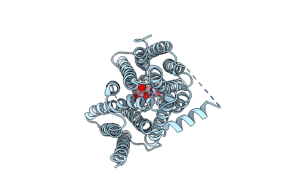 9JRI image