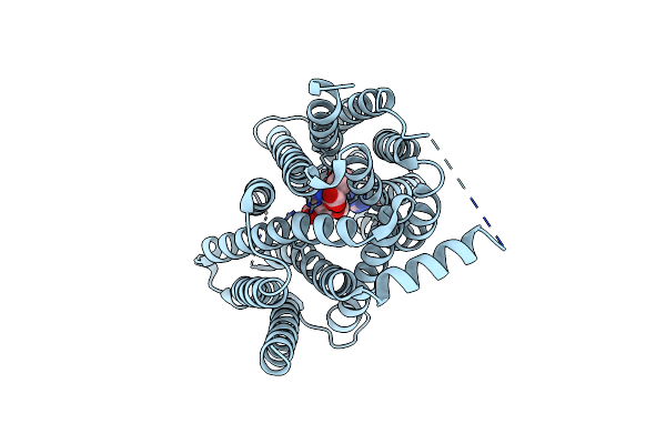 9JRL image