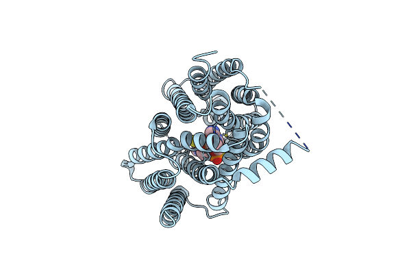 9JRM image