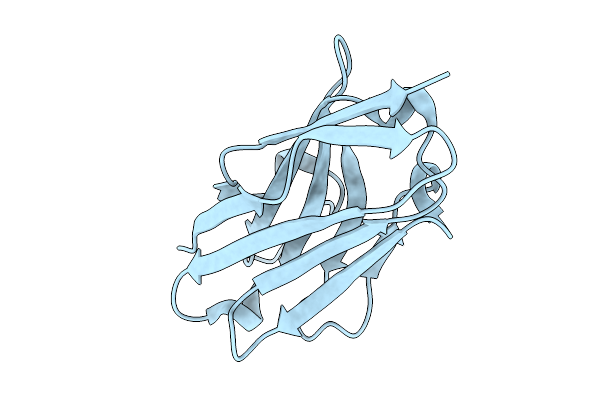 9JRS image