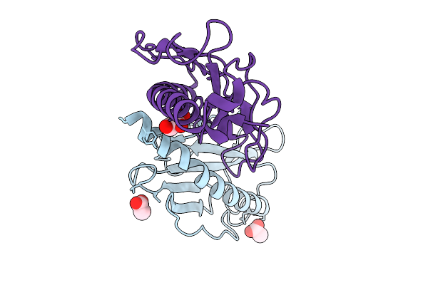 9JRV image