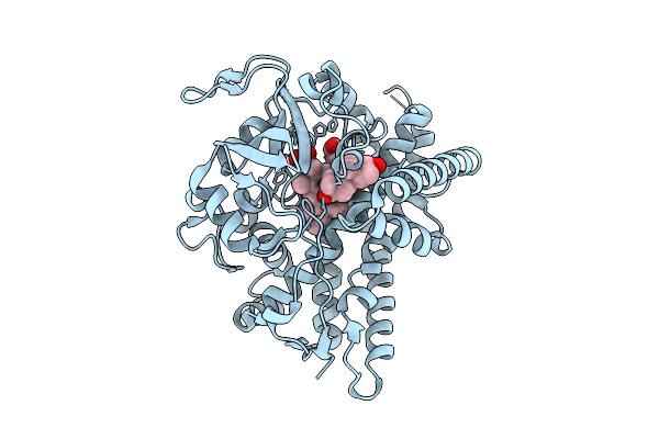 9JS9 image