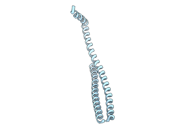 9JSD image