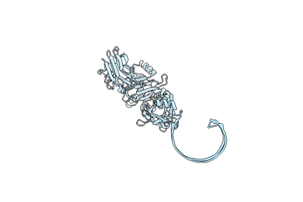9JSG image